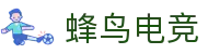 蜂鸟竞技下载站 | 电竞赛事娱乐平台